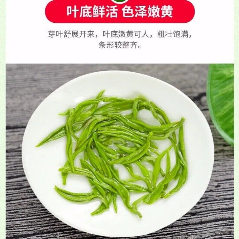 New Mountain Cloud Green Tea Strong Flavor Canned 125g