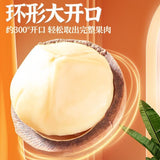 New Macadamia Nuts | Milk Flavor, Large Size, With Shell Opener, Snack