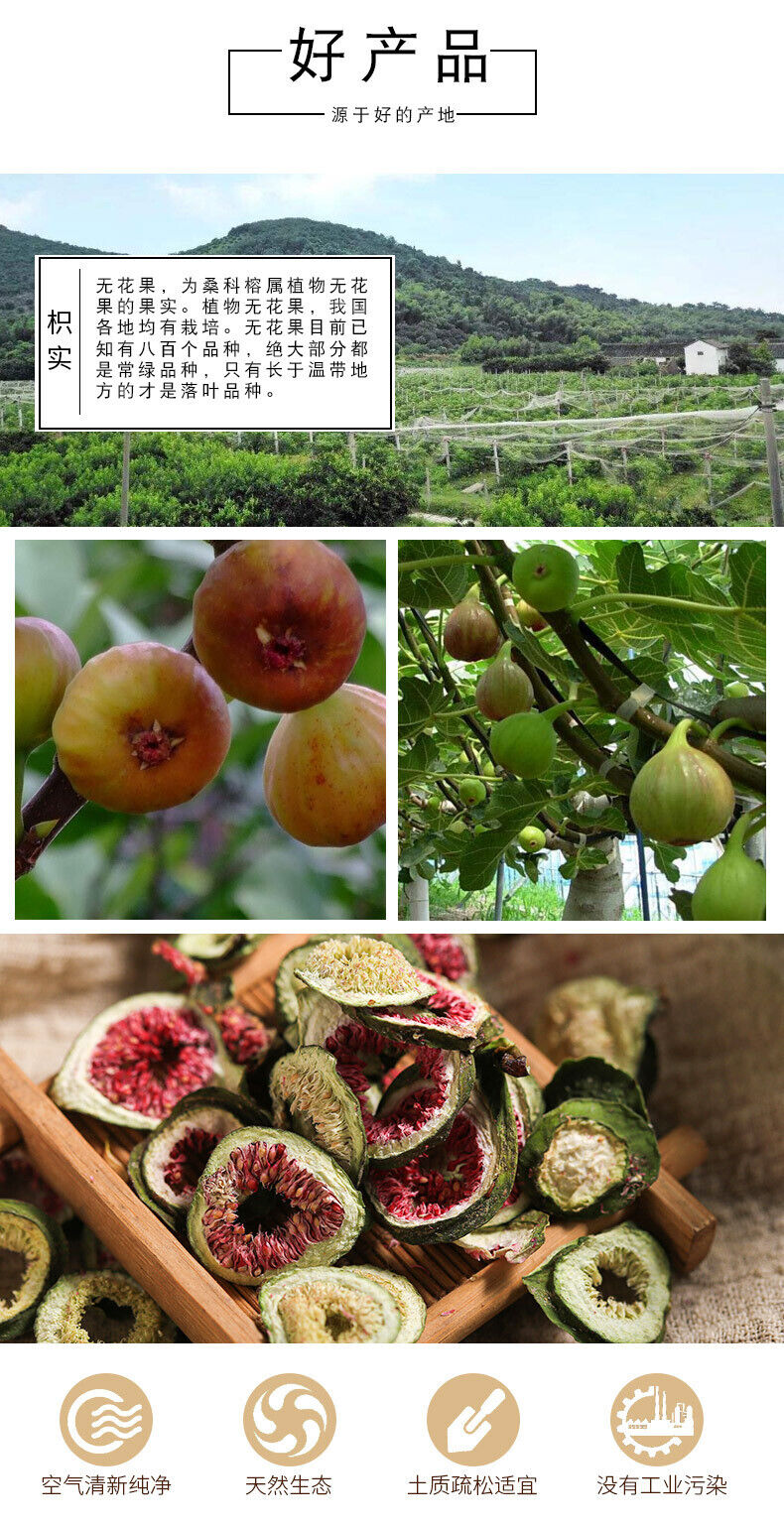 New Dried Figs Fig Tea Dried Figs Fig Slices Large Fruits 500g/1.1lb