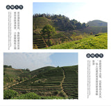 Taiwan High Mountain Tea Frozen Top Oolong Golden Day Oolong Tea 150g Pack