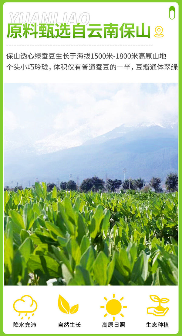 Yunnan Orchid Beans - Roasted Green Broad Beans Snack