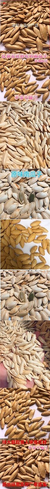 Large Long Type Salted Pumpkin Seeds Snack