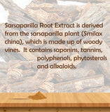 Sarsaparilla Root Bark Extract Powder 10.58oz/300G | HELLOYOUNG