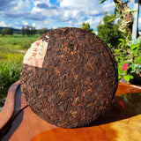 357g Icelandic Pu'er Tea Yunnan Pu'er Ripe Tea Cake Golden Buds Seven Seeds Cake
