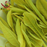 New Mao Feng Tea High Quality Early Spring Fresh Maofeng Chinese Tea 250g