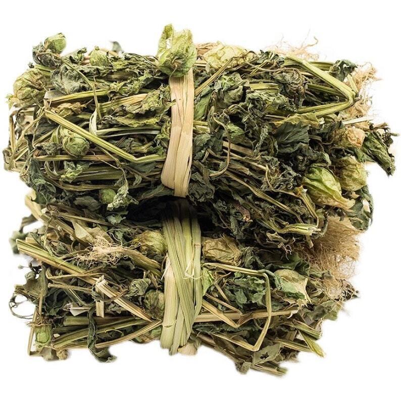 Organic Dried Peruvian Groundcherry Herb, Downy Groundcherry Fruitor Herb