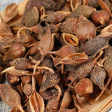 250g /500g Featured Forsythia Lianqiao Health Tea 连翘