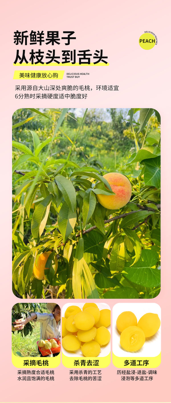 Nostalgic Snack Dried Yellow Peach Childhood Treats Sweet and Sour Crunchy Peach
