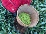 2025 First Flush Longjing Tea Premium Grade 50g Fresh Hangzhou Origin