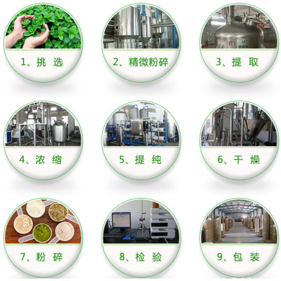 Bai Zhu Extract 10:1 Concentrate | Atractylodes Rhizome Vegan Herbal Tea