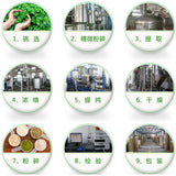 Bai Zhu Extract 10:1 Concentrate | Atractylodes Rhizome Vegan Herbal Tea