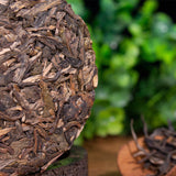 750g Yunnan Pu-erh Raw Tea Brown Tea Column Arbor Old Tree Raw TEA
