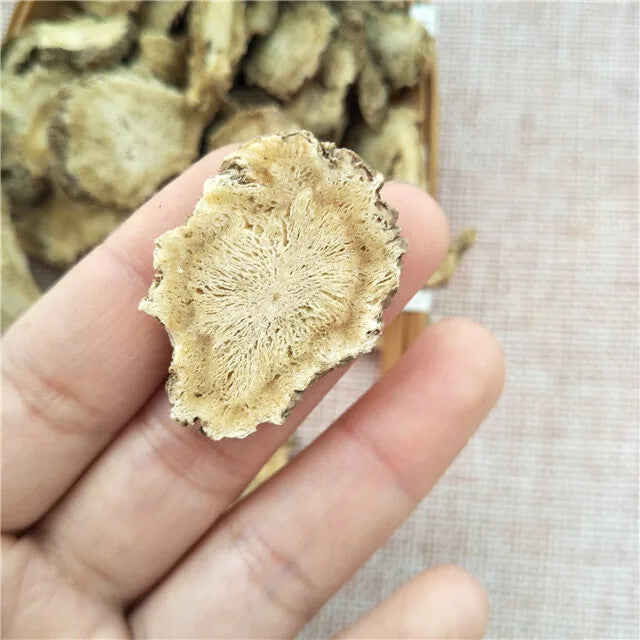 Dang Gui Cheap Price Angelica Sinensis Dried Radix Angelicae Sinensis Root