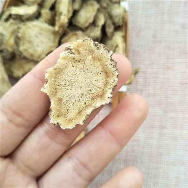 Dang Gui Cheap Price Angelica Sinensis Dried Radix Angelicae Sinensis Root