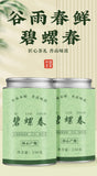 2025 Biluochun Green Tea Fresh Fragrant Mountain Grown Premium Loose Leaf