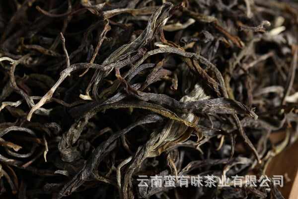 Yunnan Puerh Tea, Qiaomu Tea Spring Tea 500g