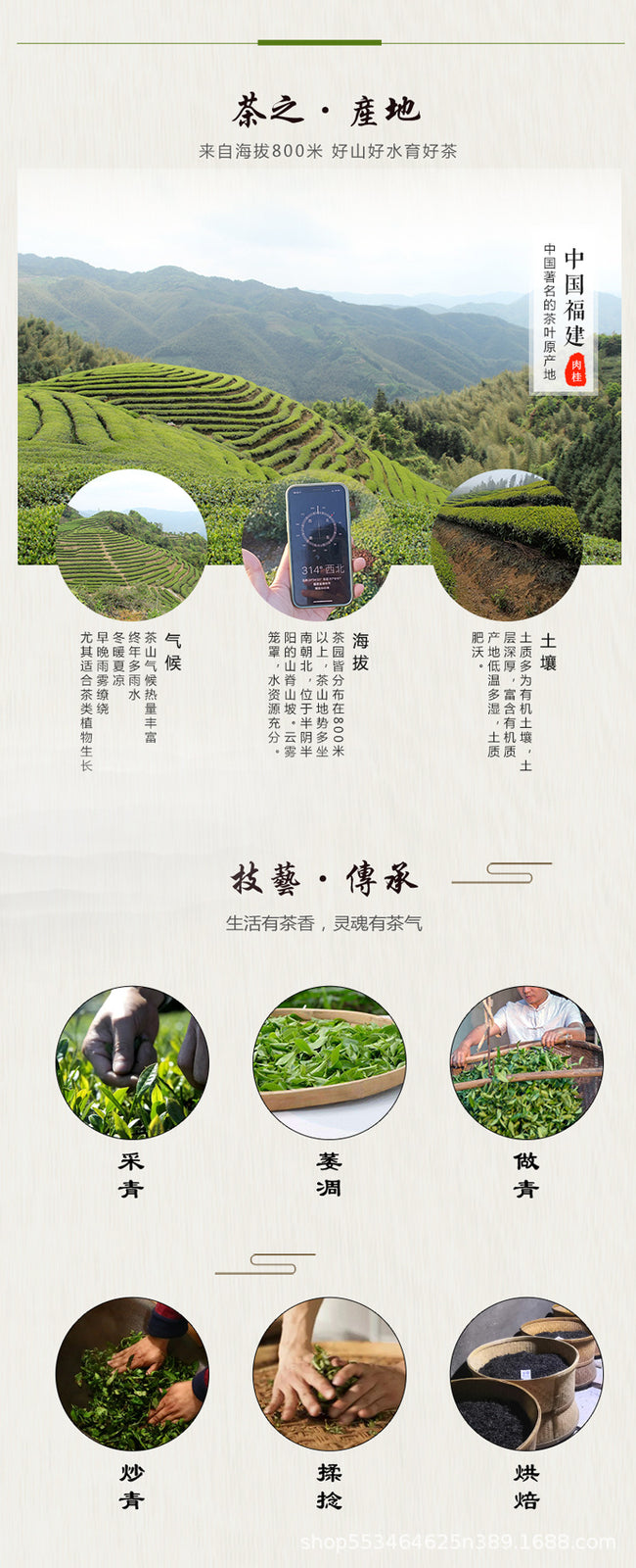 Fruit Aroma Rougui Medium Roast Charcoal Roasted Oolong Tea Wuyi Rock Tea