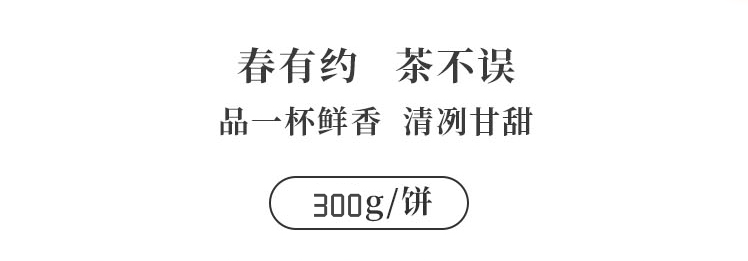 White Peony Fujian White Tea Cake Old Tree Tea Leaves New Tea 300g