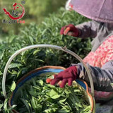 New Tea Taiwan Milk Favor Oolong Tea Jinxuan Natural Milky Oolong Tea 150g