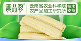 Yunnan Thumb Corn Gift Box – Sweet & Glutinous Treats for Gifting
