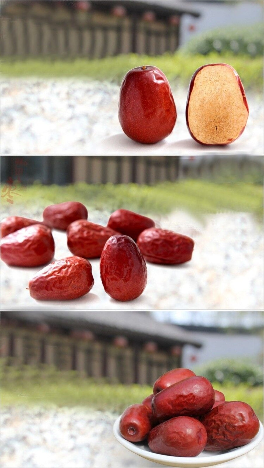 Organic Chinese Red Jujube 250g Premium Dried Chun Yu Date Fruits