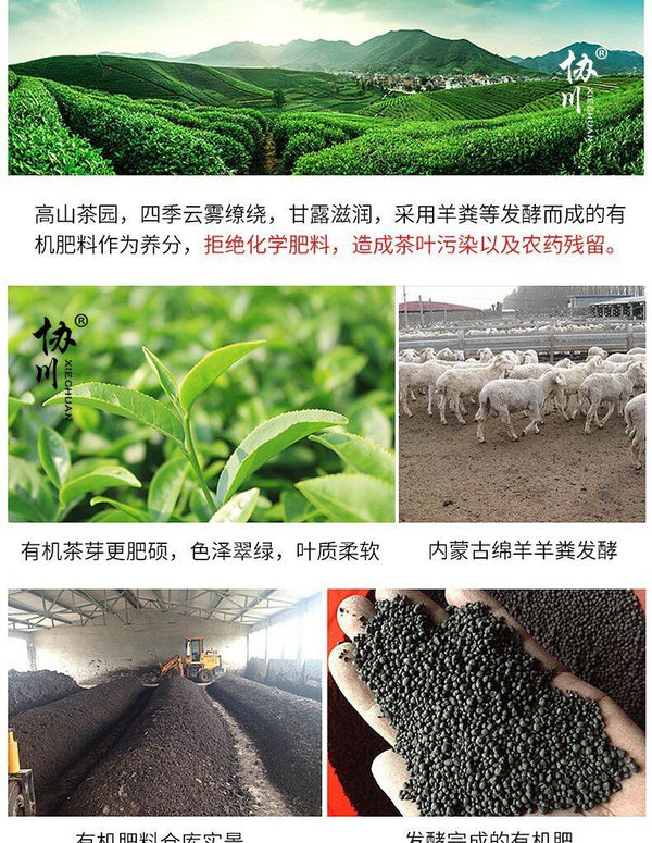 Strong Aroma Dahongpao Tea 500g Spring Tea Oolong Tea Fujian Wuyi Rock Tea