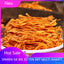 250g Bio Cordyceps Sinensis Dried Mushroom Traditional Chinese Herb