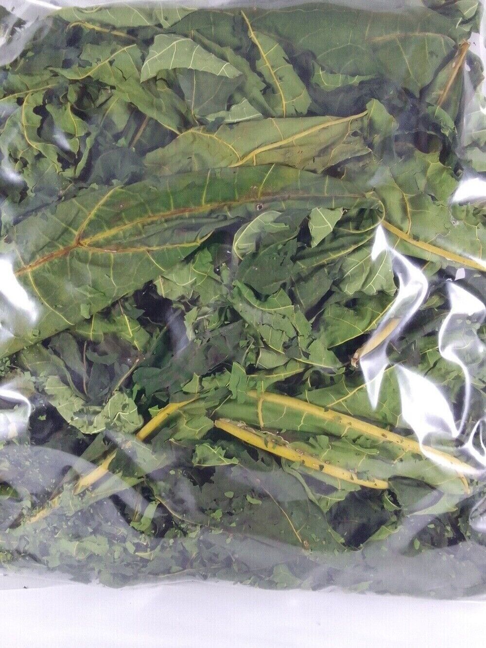 Papaya Leaf Tea Dried Whole Organic Pure Herbal Premium Loose Leaf Natural