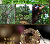 Menghai Aged Ripe Tea Black Tea Yunnan Pu-erh Tea Mini Golden Tuo Cake