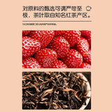 Strawberry Black Tea Pyramid Bags Cold Brew Wellness Fruit Blend