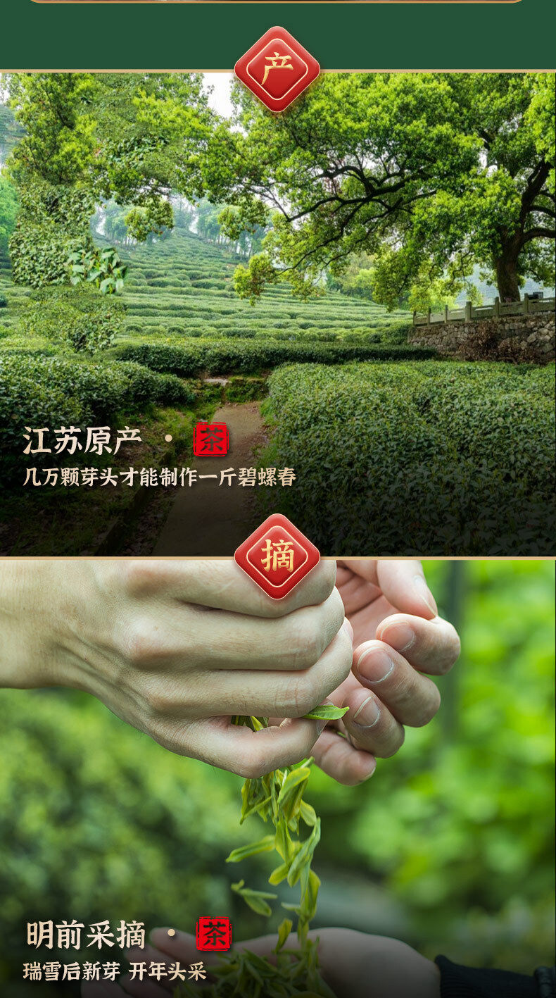 Yunwu Biluochun Fragrant Sweet Green Tea 76g Minggulan Brand New Tea Good Tea