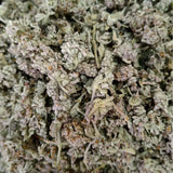 Premium Honey Flower Dried Chinese Medicinal Herb New Stock