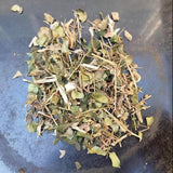 Organic Dried Herba Tea Damnacanthus Indicus Gaertn, Xiu Hua Zhen
