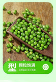 Premium Green Mung Beans - Whole Grain for Soups & Sprouting