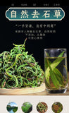 Orthosiphon Aristatus Golden Grass Tea - Kidney Essence Grass, 50g Canned