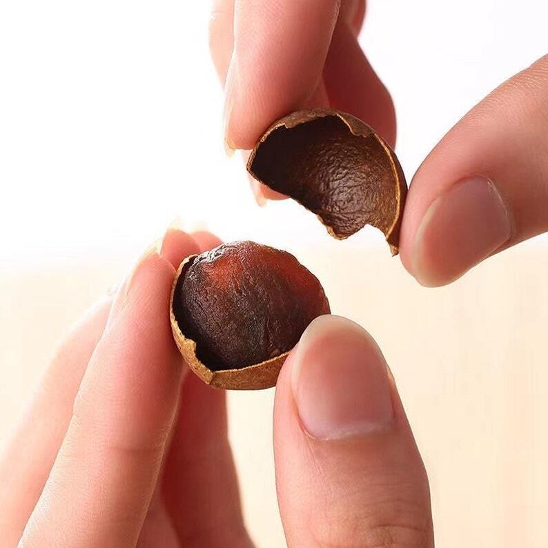 Recommend High Quality Dried Longan With Shell Fruit, Euphoria Longan