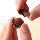 Recommend High Quality Dried Longan With Shell Fruit, Euphoria Longan