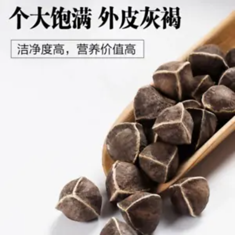 Moringa seeds 250 g Heathy Herbal Tea Lamuzi Herbs Healthy Drink  Chicory seeds