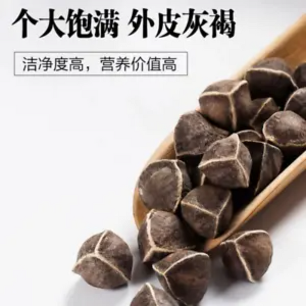 Moringa seeds 250 g Heathy Herbal Tea Lamuzi Herbs Healthy Drink  Chicory seeds