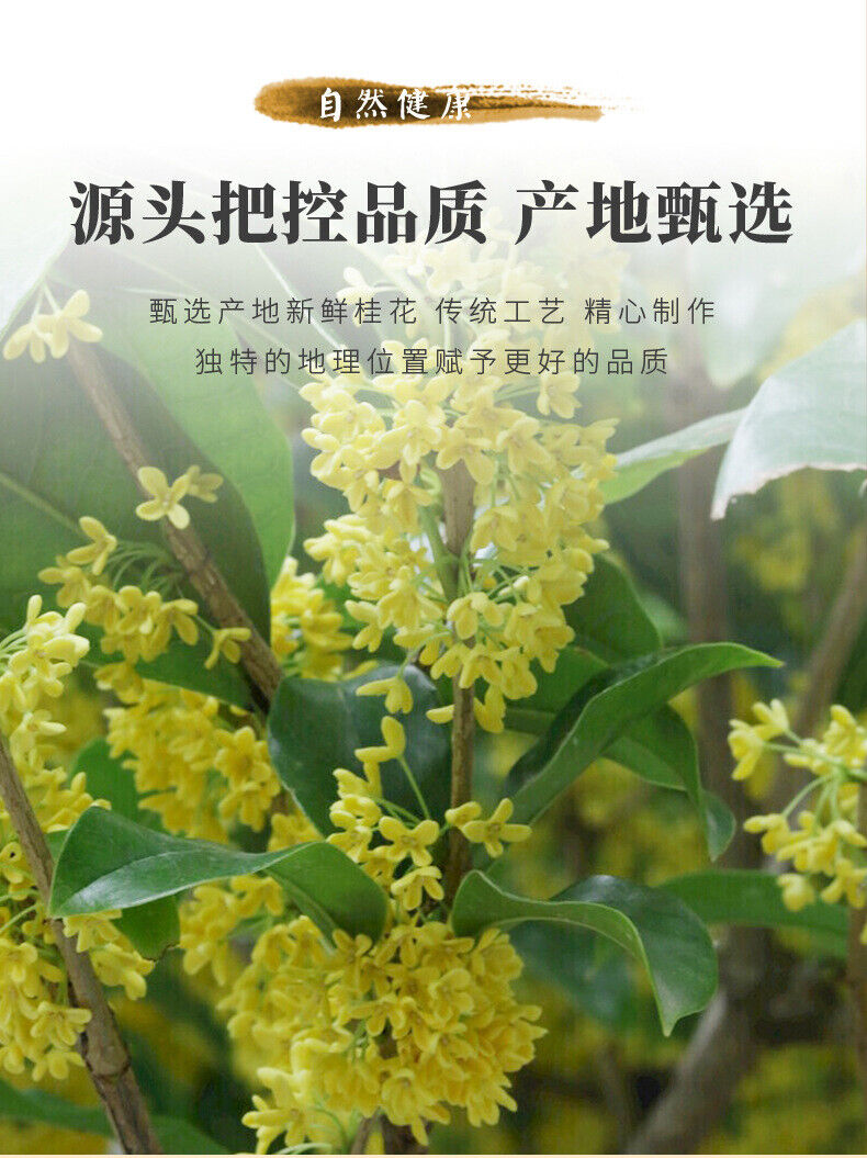 Guilin Osmanthus Tea: 40g Jar, Organic, Relaxing & Healthy