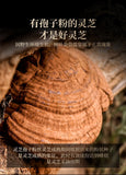 Ganoderma lucidum tablets in tea and soup Changbaishan wildlife infusion tea