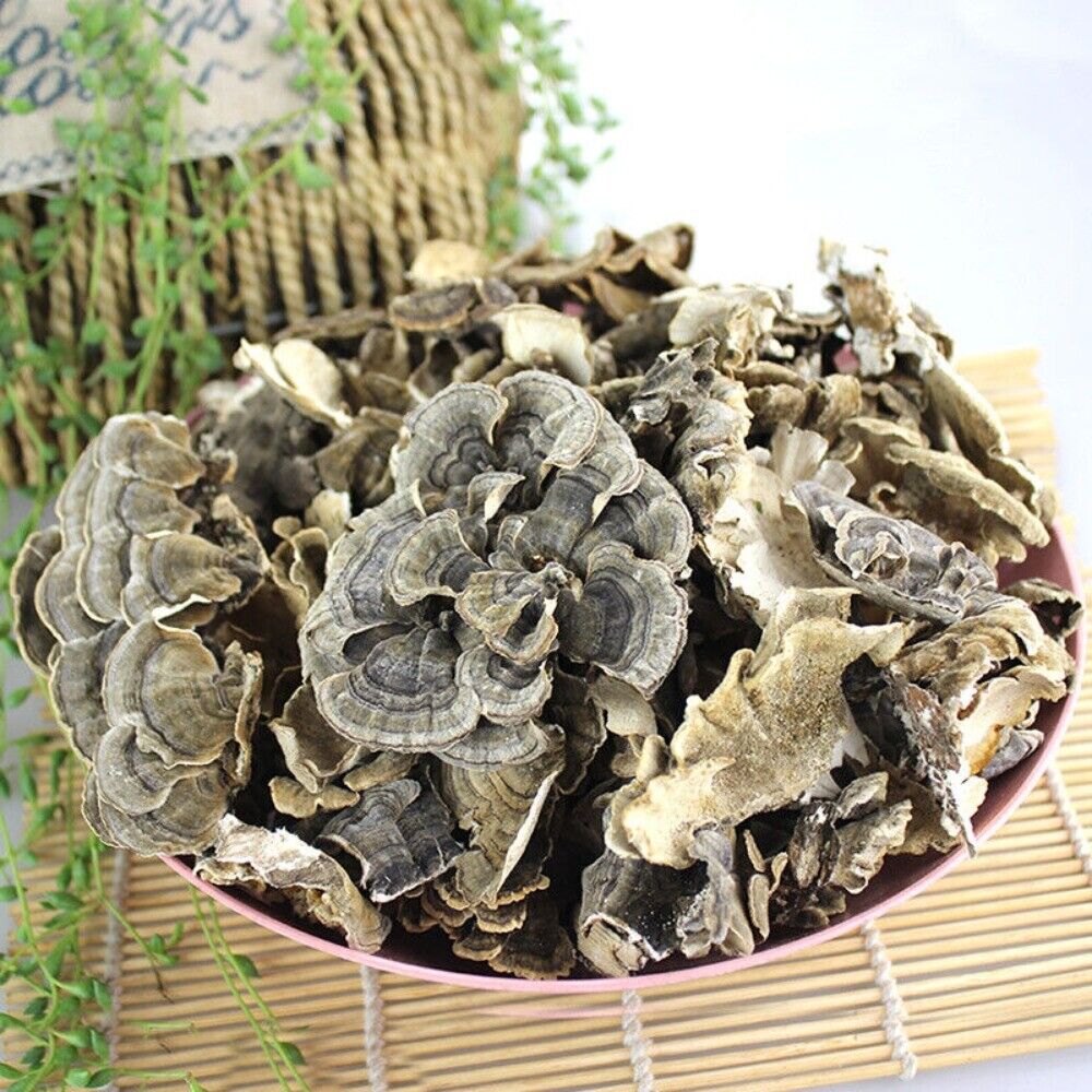 Wild Yunzhi Mushroom 250g Premium Dried Trametes Herbal Secondary image