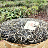 357g Cha Pu'er Tea Cake Icelandic Ancient Tree High Quality Pu-erh Tea Bingdao
