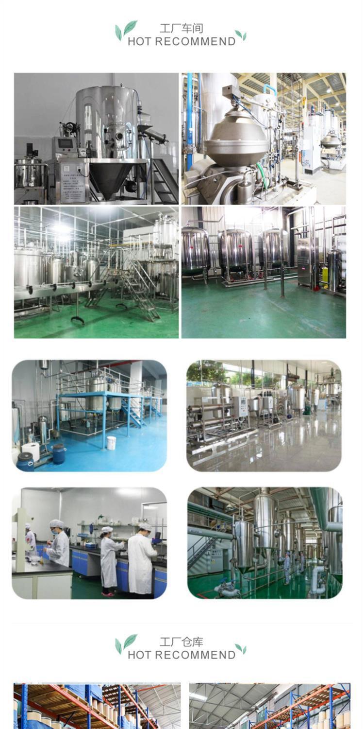 Yucca Schidigera Extract Powder Water Soluble | Natural Foaming Agent