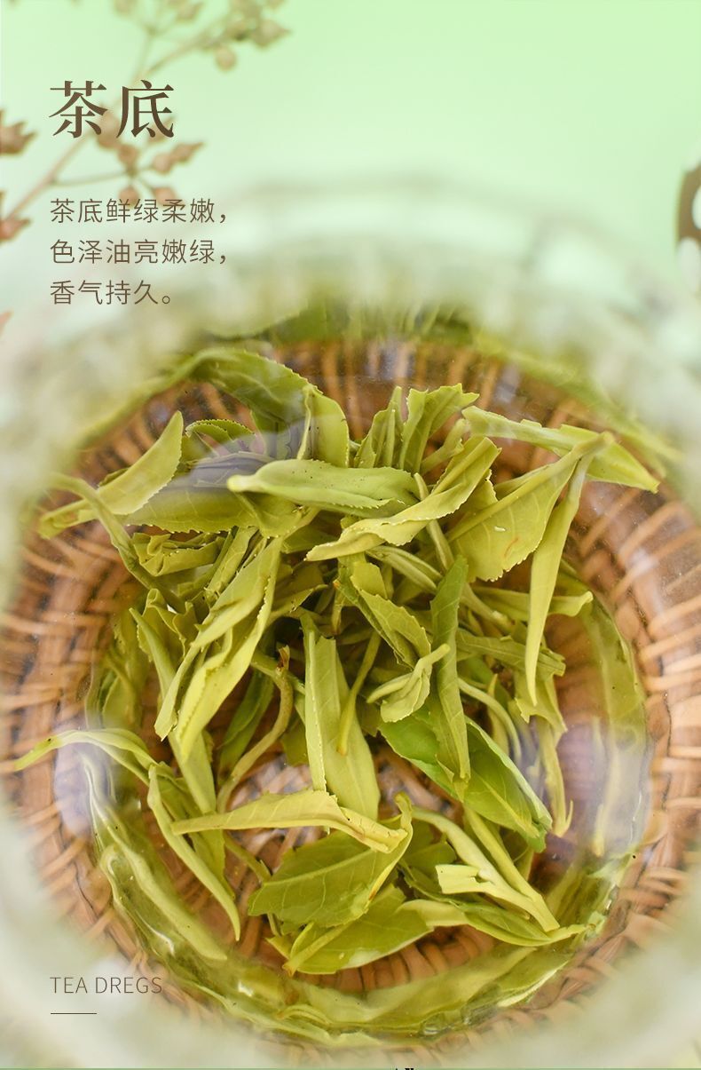 Mao Feng High Mountain Early Spring Green Tea 60g Premium 2025 New Tea