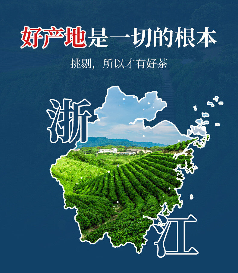 Grade Two Phoenix Style Pre-Qingming Gift Box Green Tea 125g New Anji White Tea