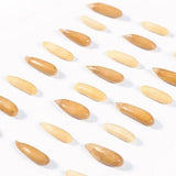 2024 Harvest Premium Pine Nuts Jumbo Size Healthy Natural Handpicked Snack