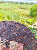 Icelandic Pu'er Ripe Tea Mengku Ancient Tree Ripe Tea Cake Pu'er Tea HongJinYin