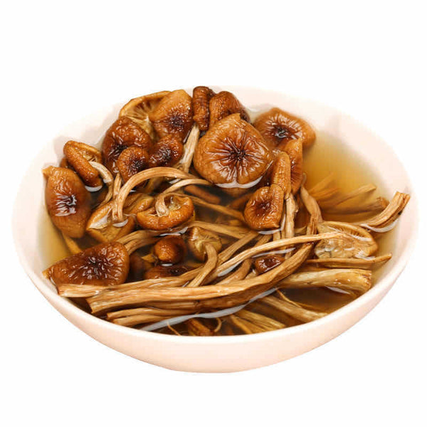 New Premium Dried Tea Tree Mushroom Chinese Herbal Agrocybe Cylindracea 250g/bag