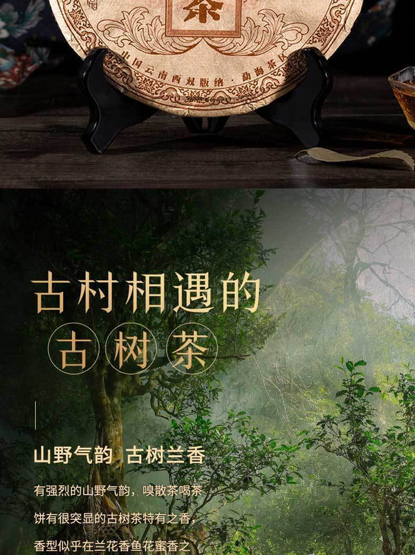 Yunnan Puerh Ancient Tea Ripe Tea Cake Menghai 10 Years Old Tea 357g